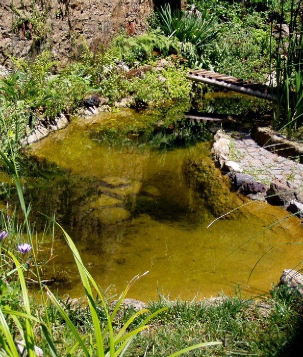 Il Laghetto del Centro di Entomologia - Piombino (LI)